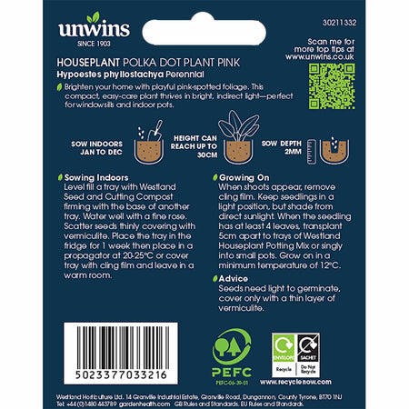 Polka Dot Plant Seeds