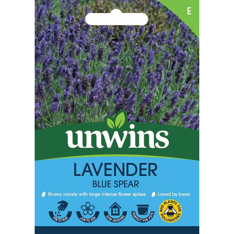 Lavender Seeds 'Blue Spear'