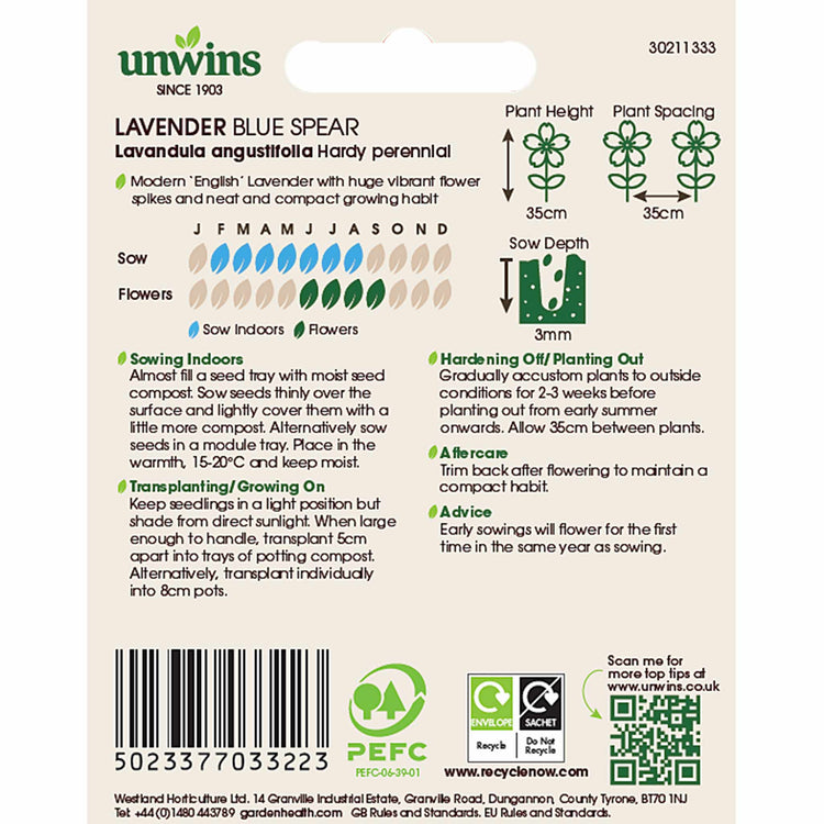 Lavender Seeds 'Blue Spear'