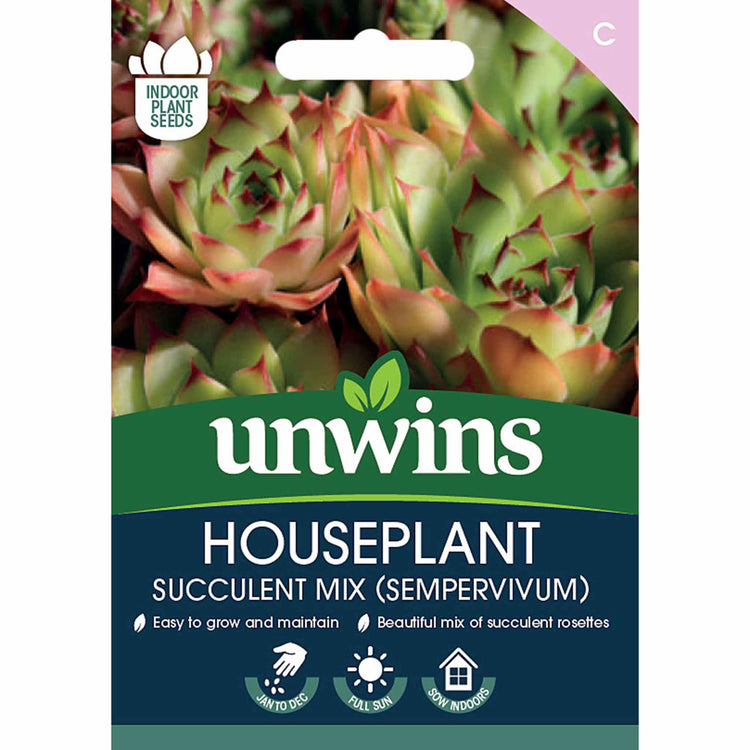 Sempervivum Seeds 'Livingstone'