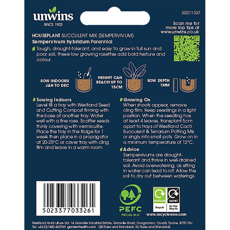Sempervivum Seeds 'Livingstone'