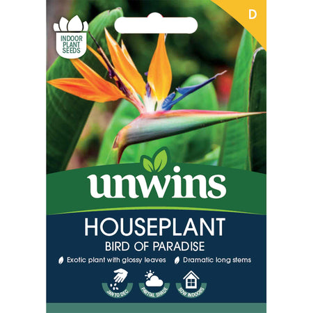 Bird of Paradise Seeds