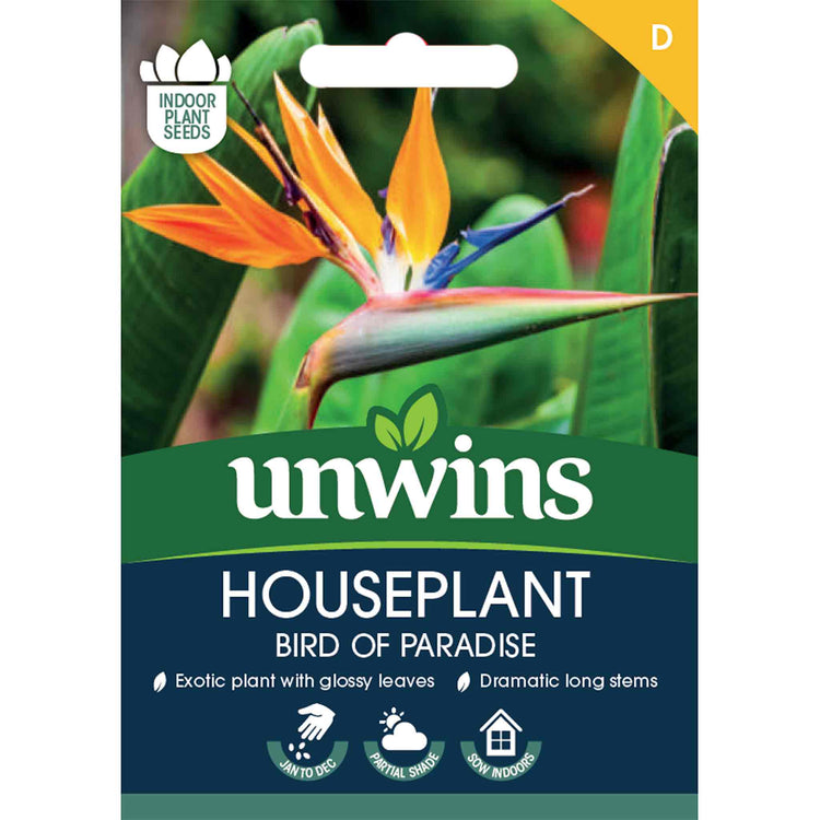 Bird of Paradise Seeds