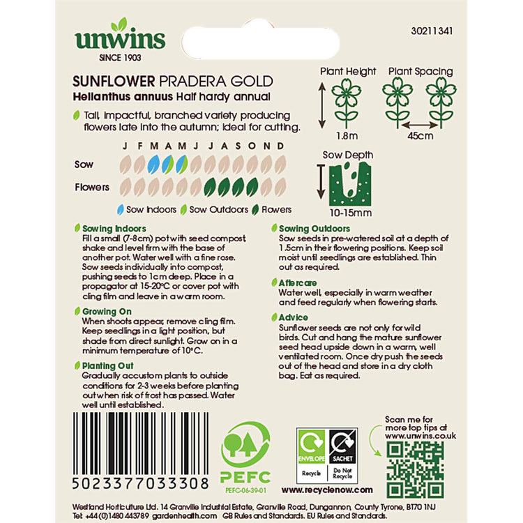 Sunflower Seeds 'Pradera Gold'