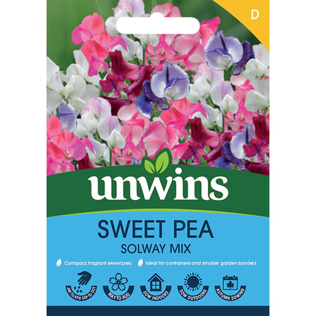 Sweet Pea Seeds 'Solway Mix'