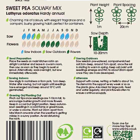 Sweet Pea Seeds 'Solway Mix'