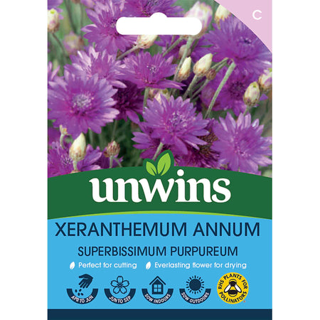 Xeranthemum annum Seeds