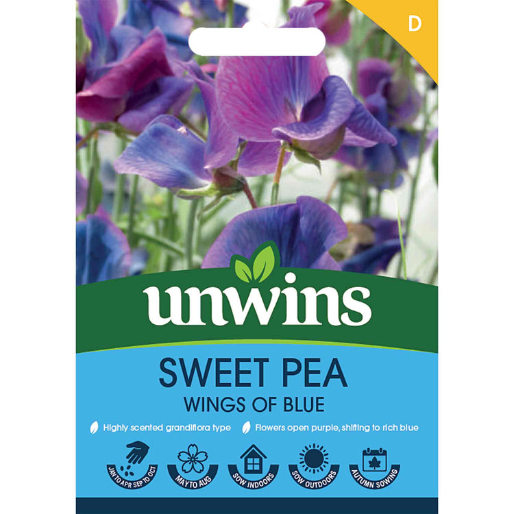 Sweet Pea Seeds 'Wings Of Blue'