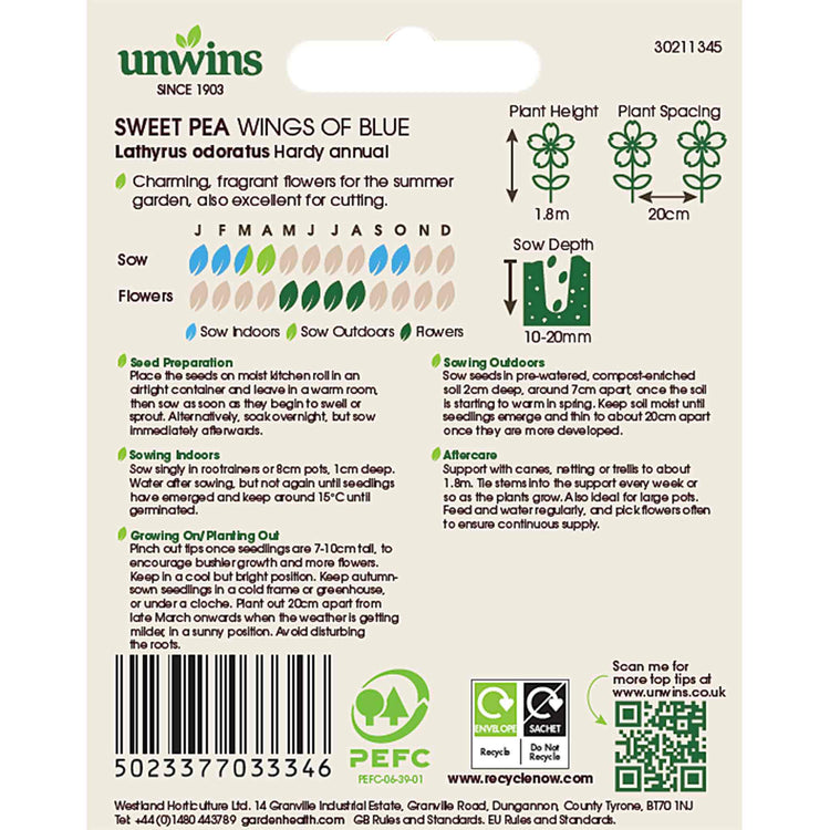 Sweet Pea Seeds 'Wings Of Blue'