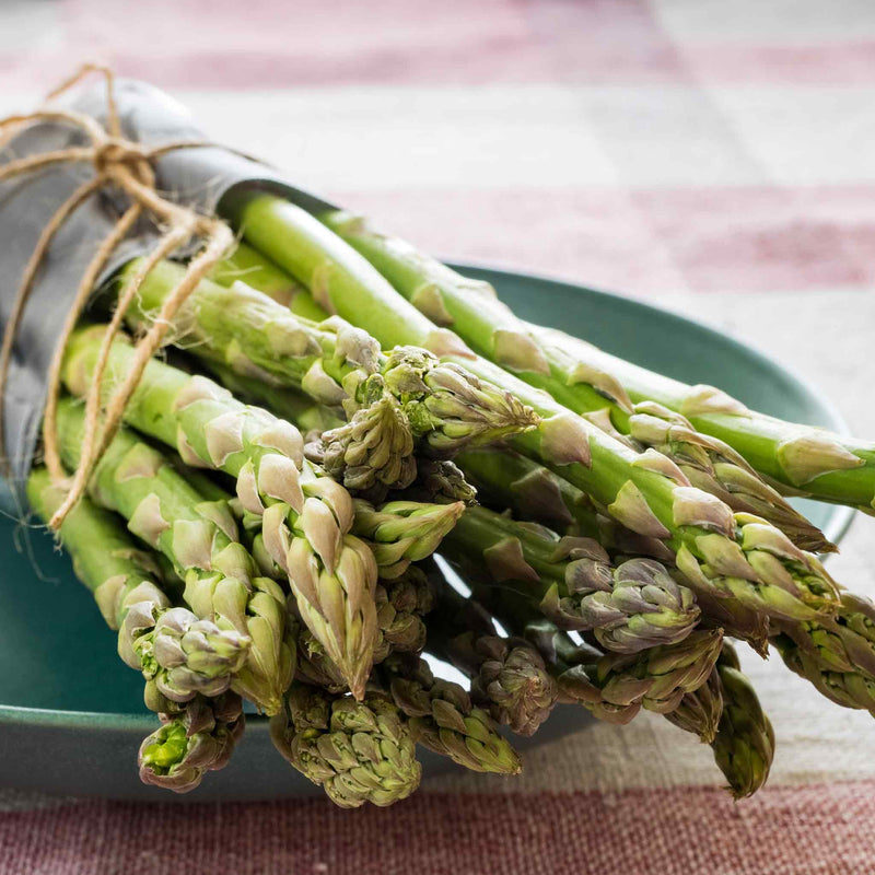 Asparagus Seeds 'Connover's Colossal'