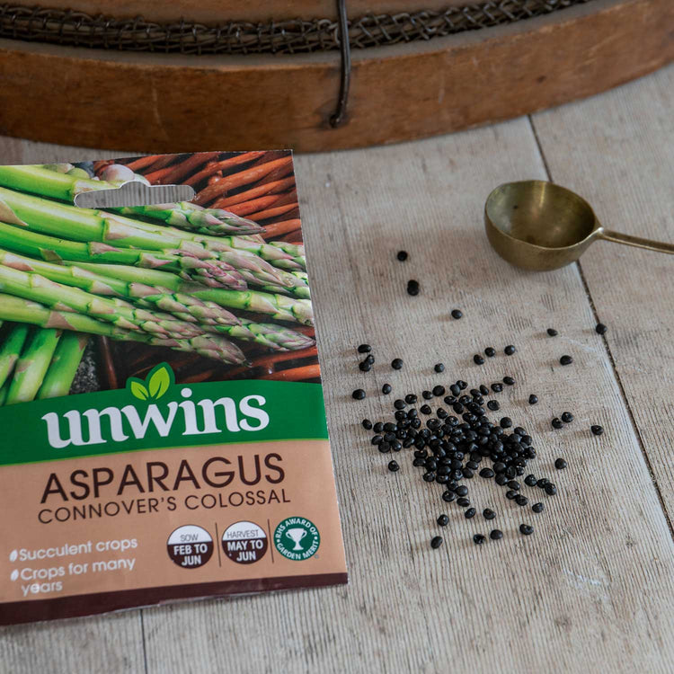 Asparagus Seeds 'Connover's Colossal'