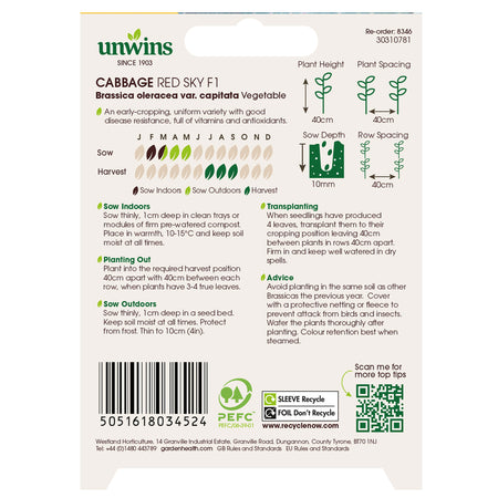 Cabbage Seeds 'Red Sky' F1