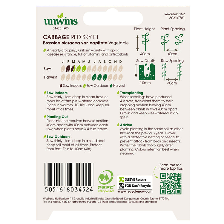 Cabbage Seeds 'Red Sky' F1