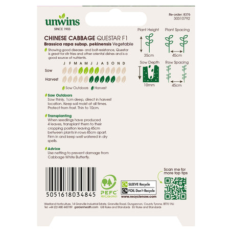 Chinese Cabbage Seeds 'Questar' F1