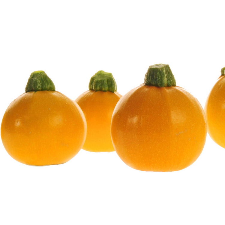 Graines de Courgette eight ball hybride F1 ® - graines à semer Graines de Courgette eight ball hybride F1 ® - graines à semer