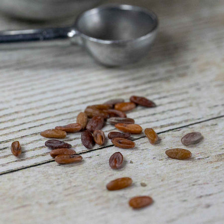 Geranium Seeds 'Sprite F2'