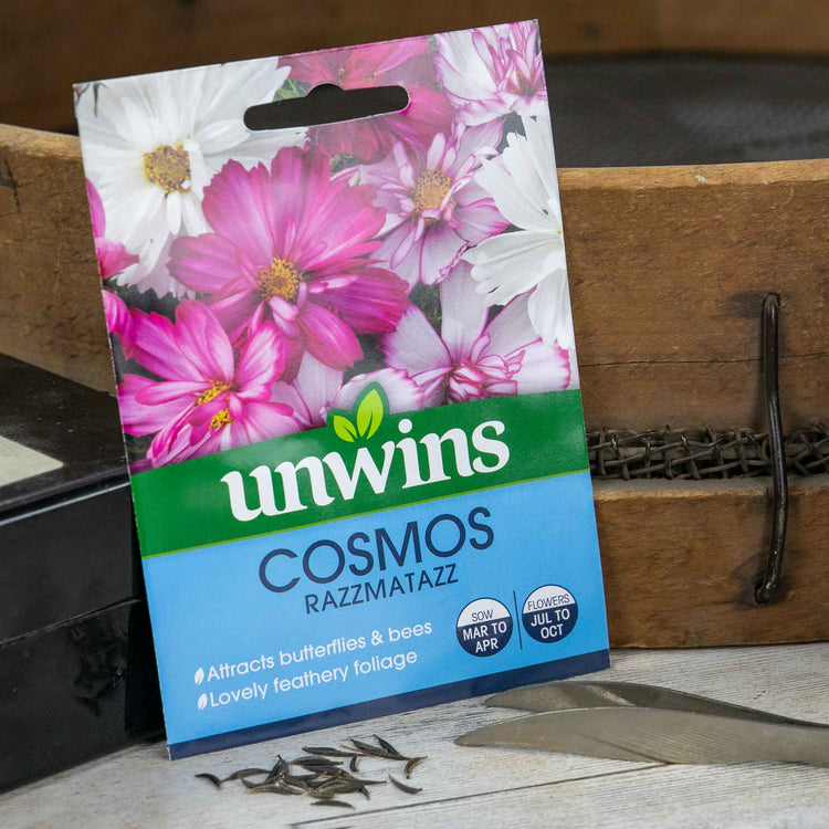 Cosmos Razzmatazz Cosmos Seeds 'Razzmatazz' | Marshalls Garden