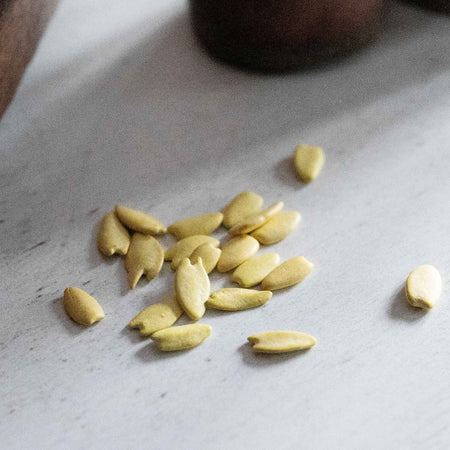 Zinnia Seeds 'Raspberry Lemonade'