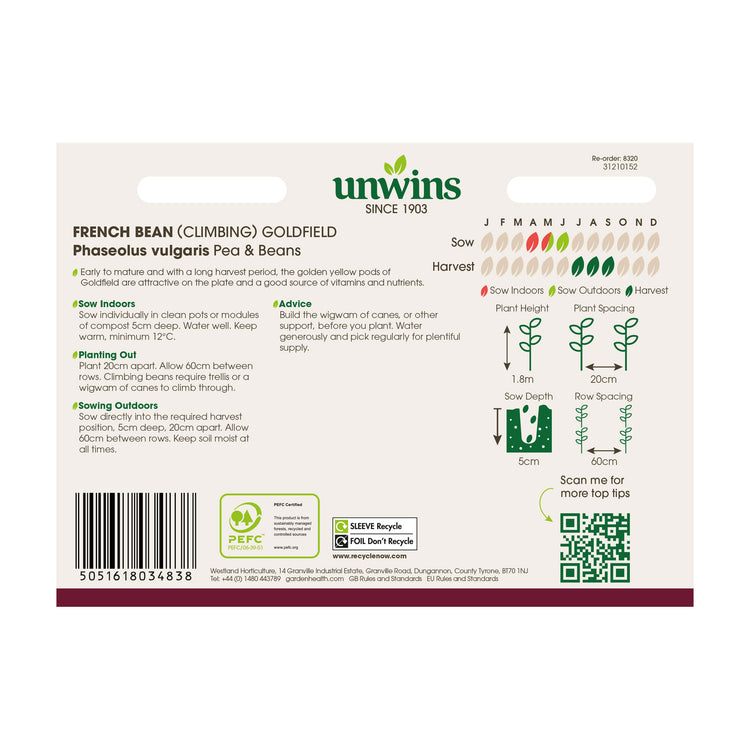 French Bean Climbing Seeds 'Goldfield'