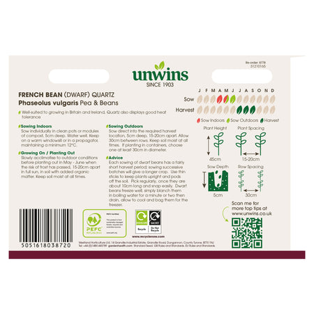 Dwarf French Bean Seeds 'Quartz'