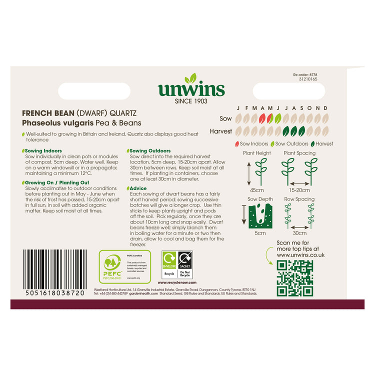 Dwarf French Bean Seeds 'Quartz'