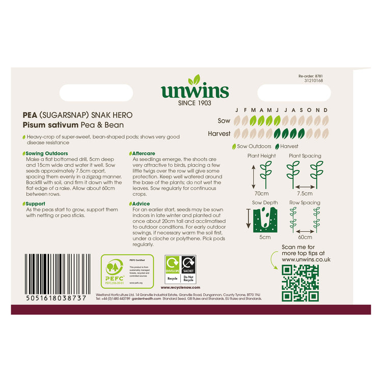 Pea Seeds 'Sugar Snak Hero'