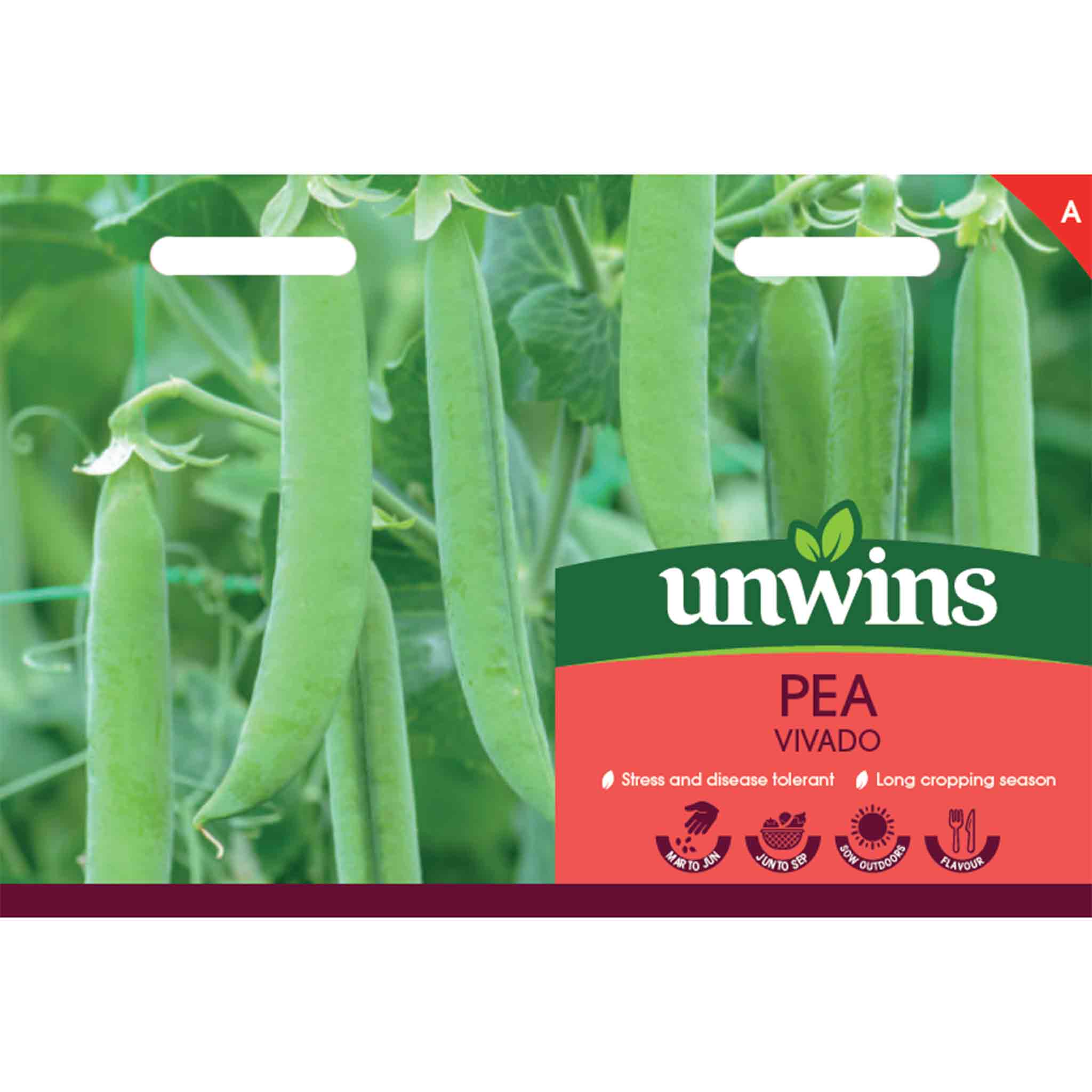 Pea Seeds 'Vivado' | Marshalls Garden