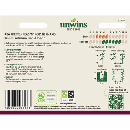 Pea Seeds 'Bernard'