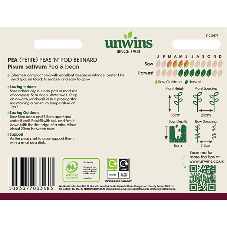 Pea Seeds 'Bernard'