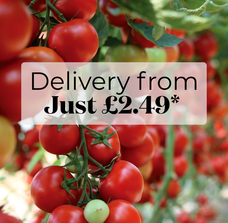 Buy More Seeds & Save on Delivery