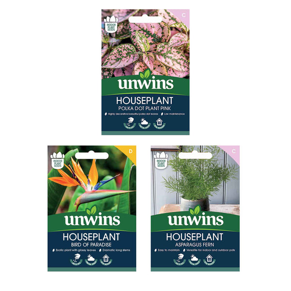 Unwins Houseplant Seed Collection – 3 Varieties
