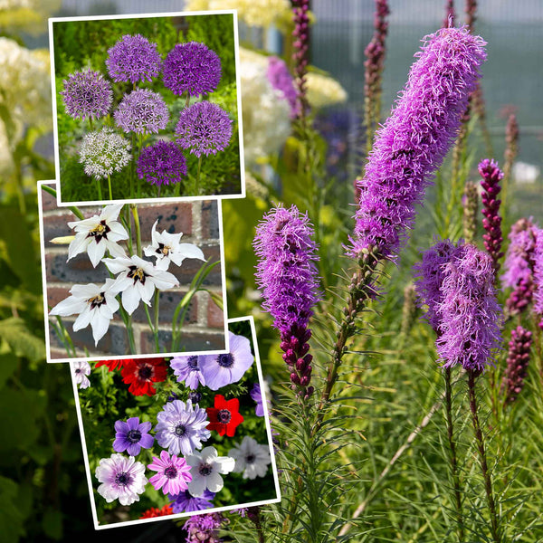 Bees & Butterfly Happy Collection