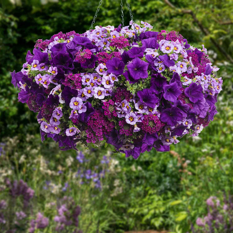 Basket and Container Collection 'Ada'