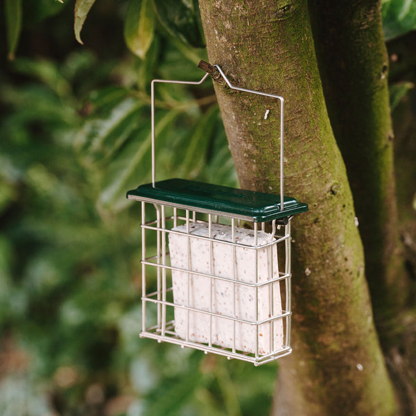 Peckish All Weather Suet Cake Feeder