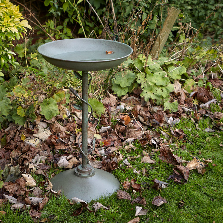 Peckish Secret Garden Bird Bath