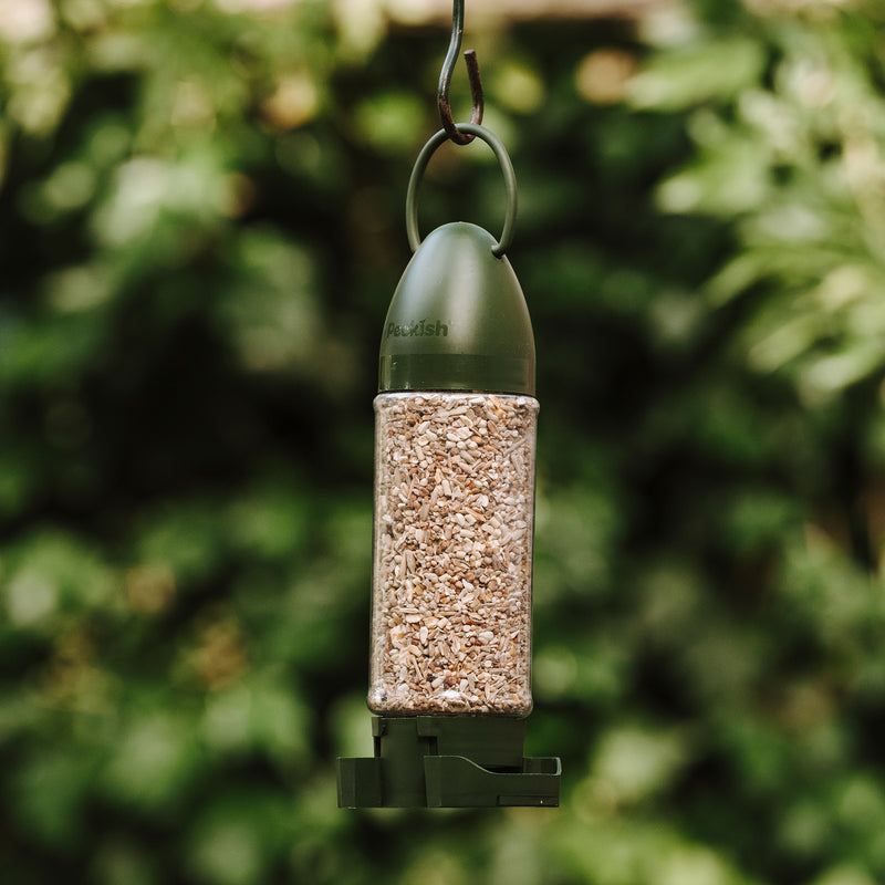 Peckish Everyday Seed Feeder