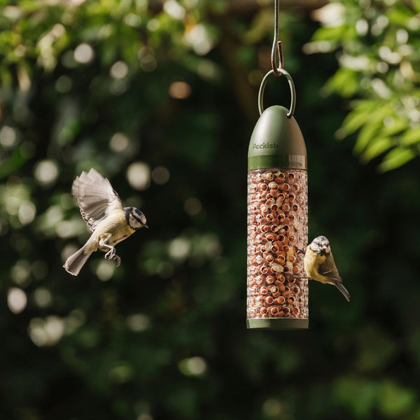 Peckish Everyday Peanut Feeder