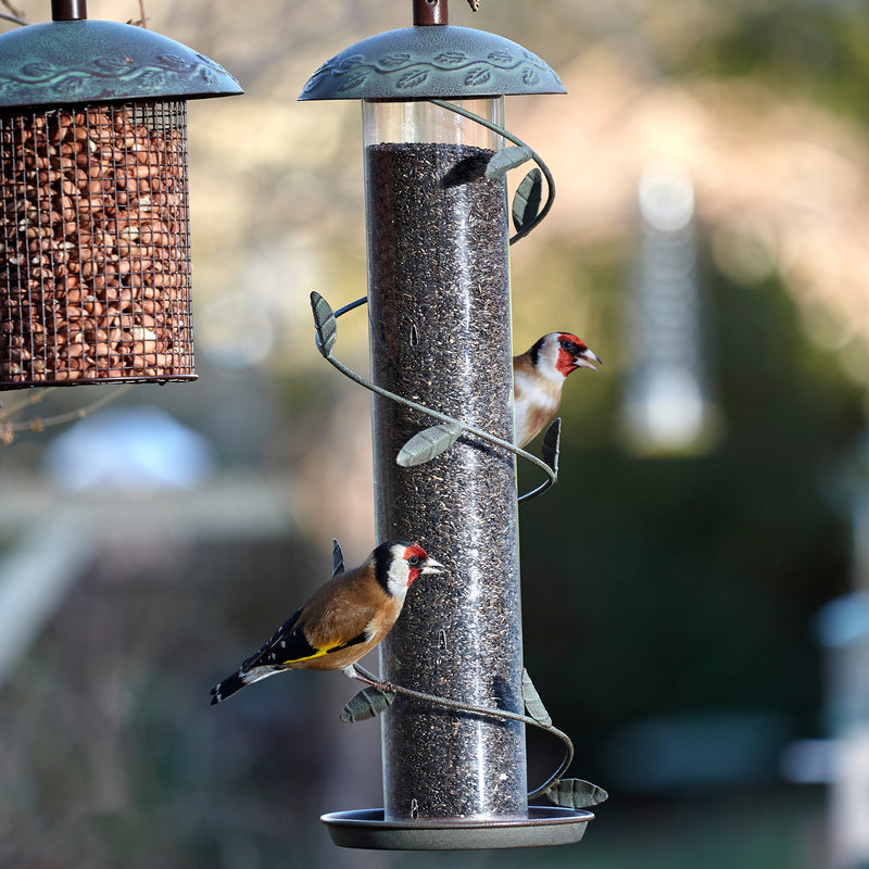 Peckish Secret Garden Spiral Finch Feeder