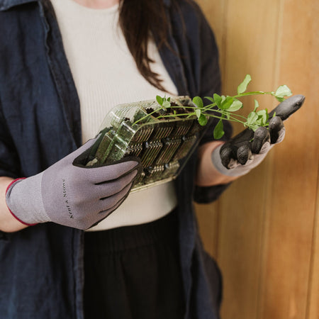 Kent & Stowe Premium Seed & Weed Gloves - Ladies