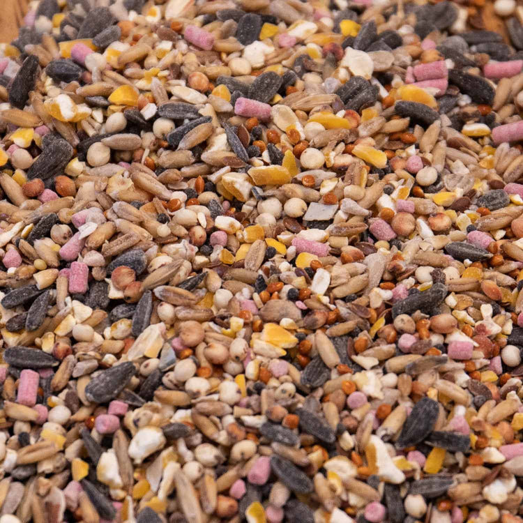 Peckish Winter Warmer Seed Mix