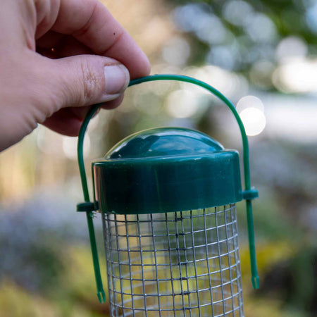 Natures Feast Peanut Bird Feeder