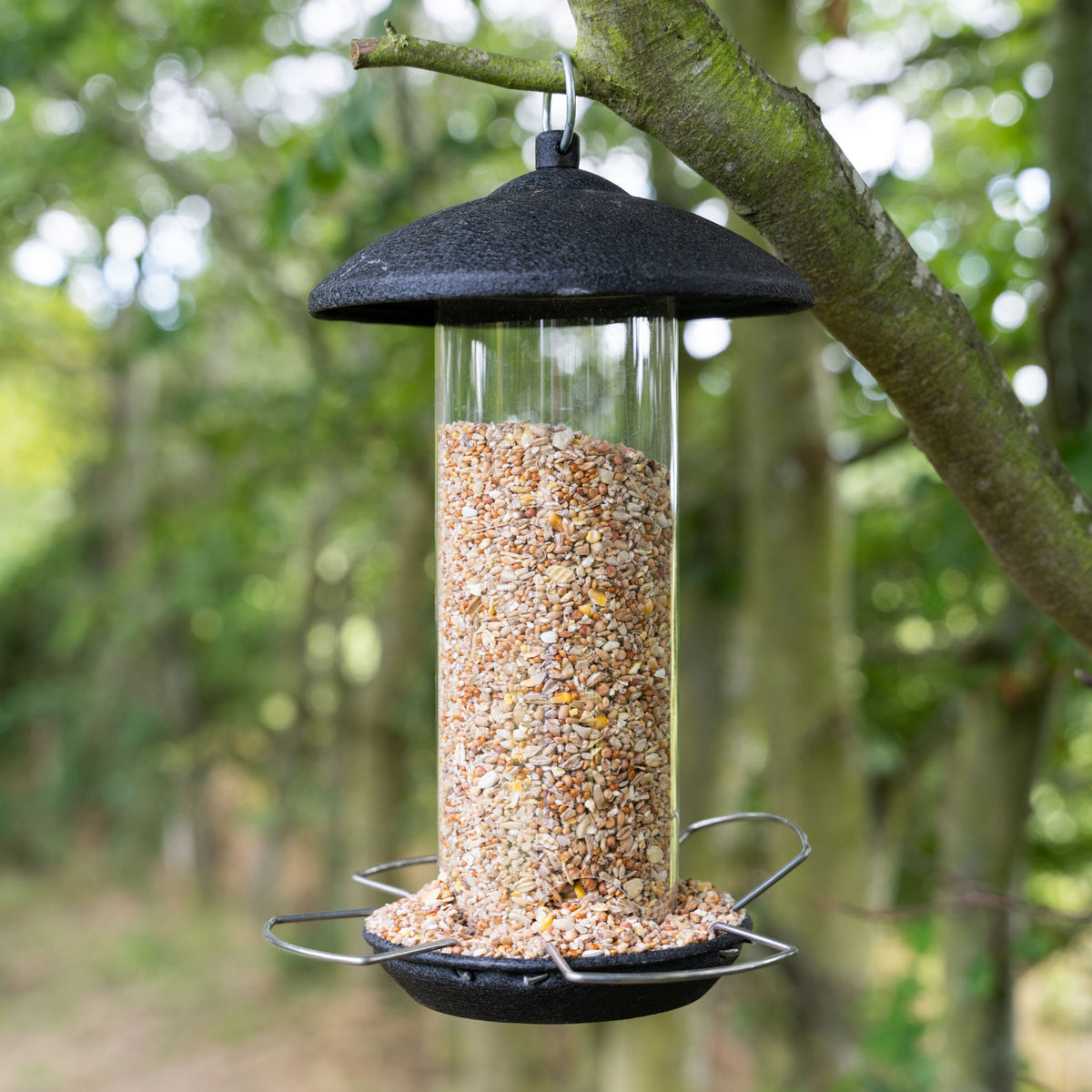 Gardman Black Steel Large Seed Feeer | Buy Bird Feeder Online | Bird ...