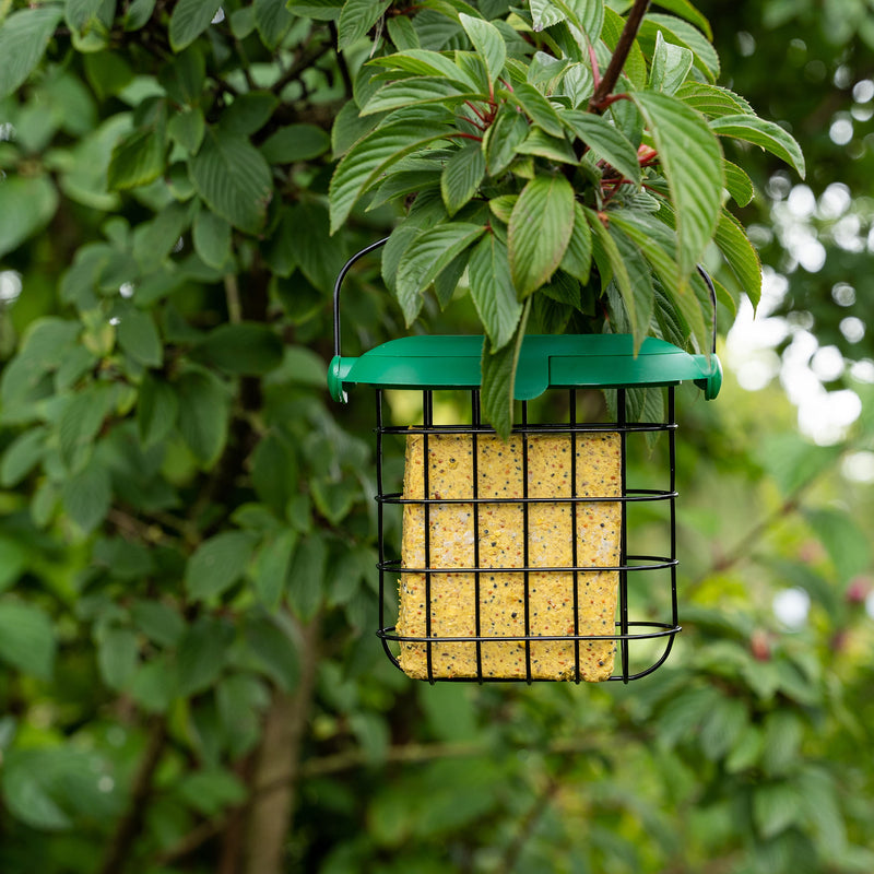 Gardman Flip Top Feeder Suet Feast