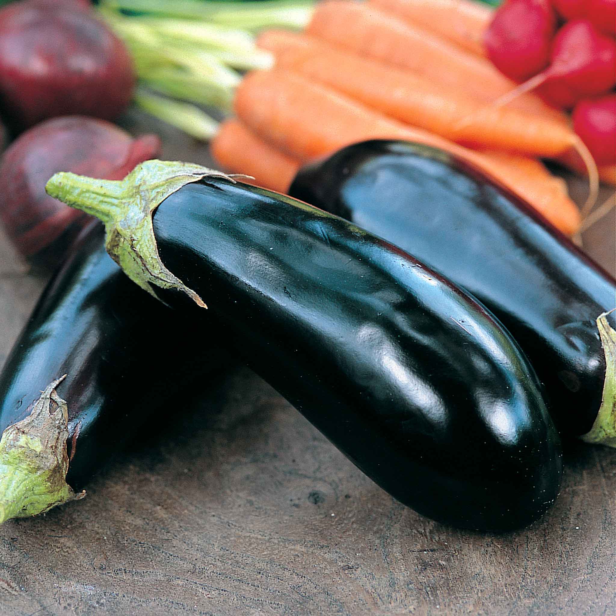 Aubergine Seeds Moneymaker F1