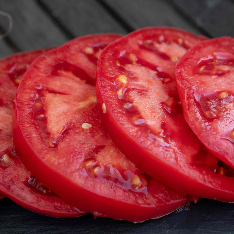 Cordon Tomato Plant 'Gigantomo'