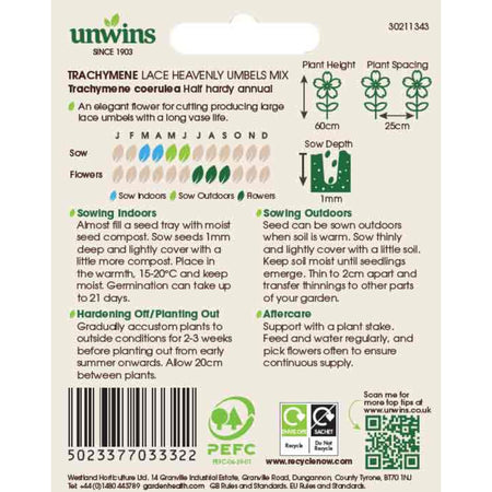 Blue Lace Flower Seeds 'Lace Heavenly Umbels'