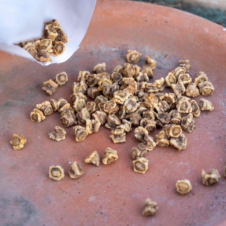 Beetroot Seeds 'Boston'