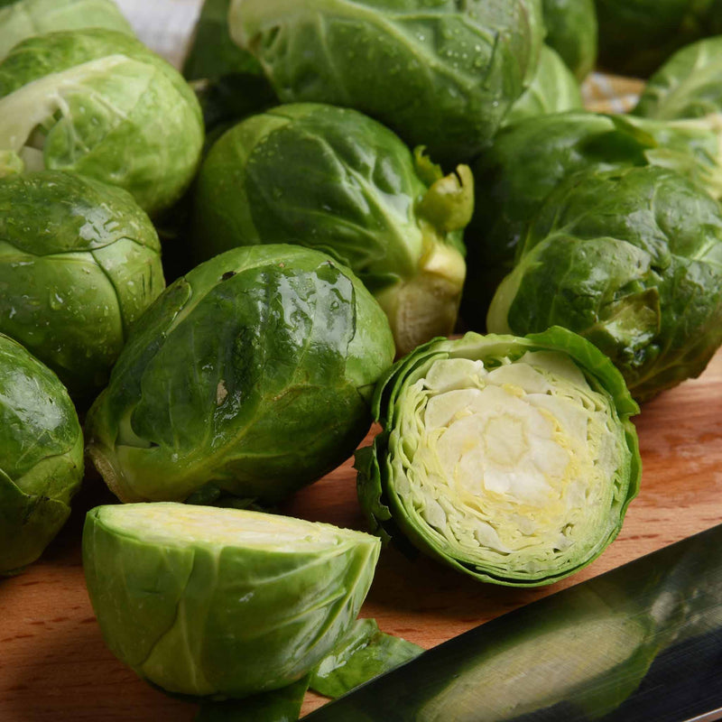 Brussel Sprouts  'Brigitte'