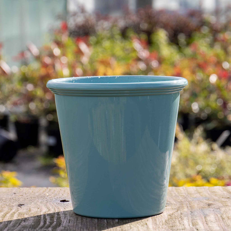 marshalls pots for plants Plant Pot