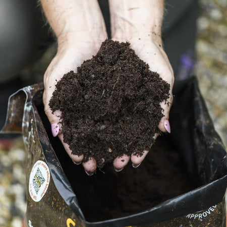 Carbon Gold Biochar All Purpose Compost 20L